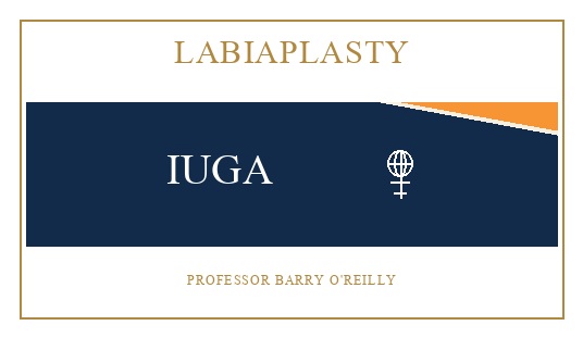Labiaplasty consultation