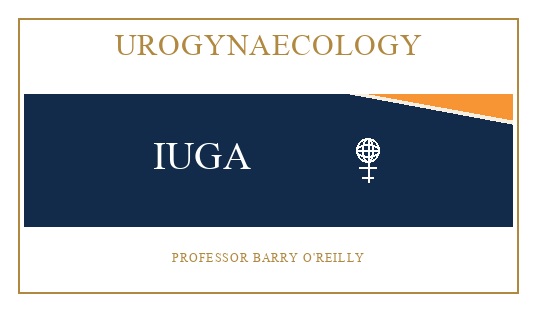 Urogynaecology
